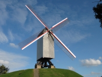 Tips & Myths of Saving Energy